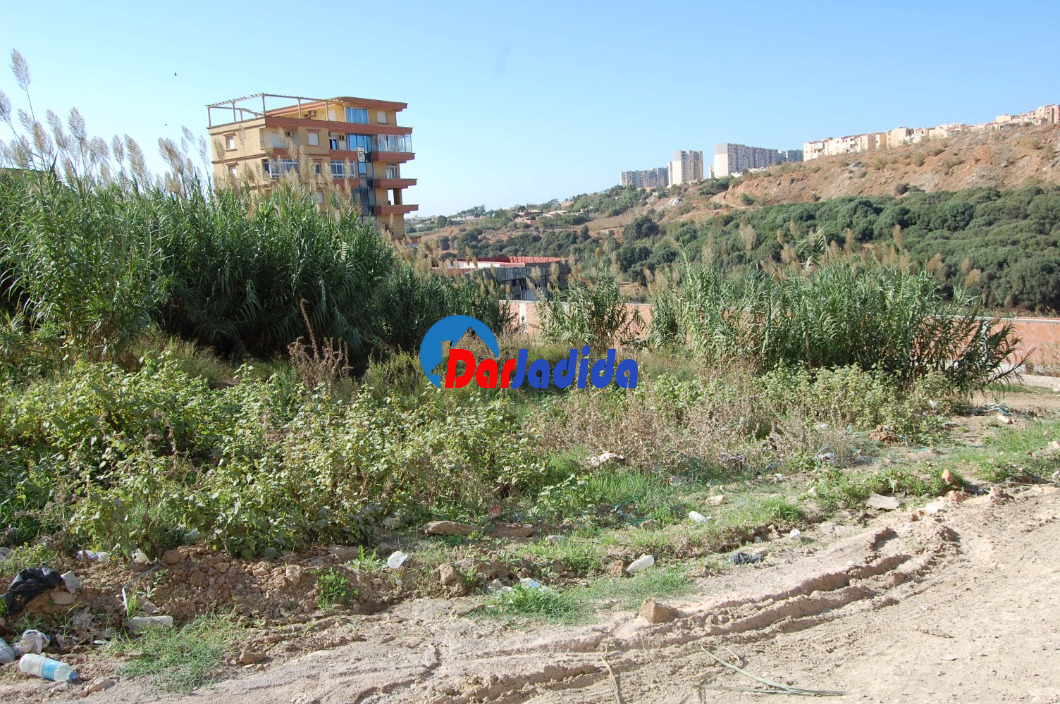 Vente Terrain  Alger
