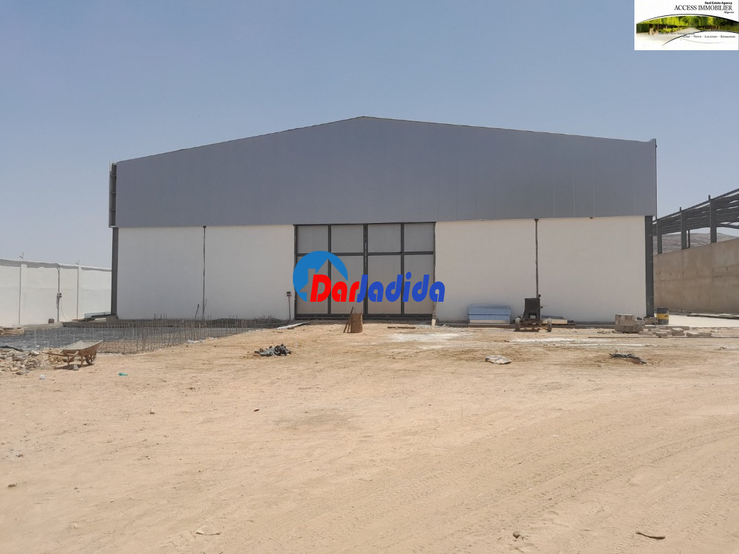 Location Hangar  Oran