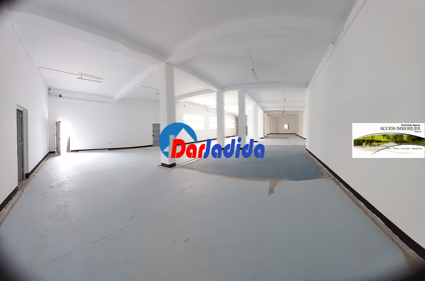 Location Local  Alger