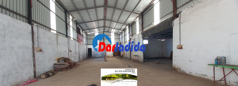 Location Hangar  Alger