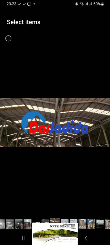 Location Hangar  Alger