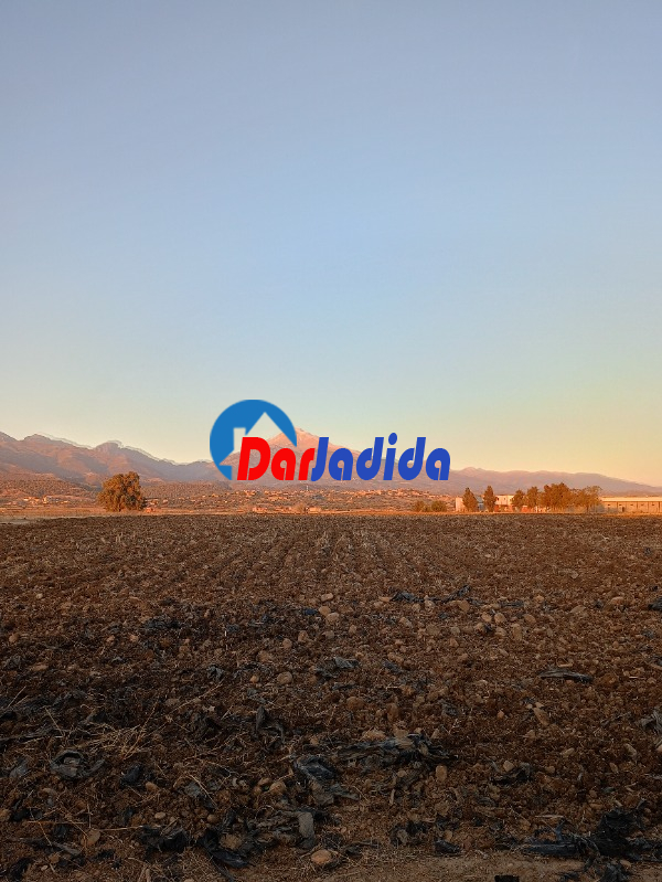 Vente Terrain  Bouira