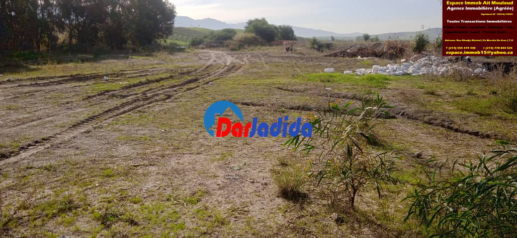 Vente Terrain  Tizi-ouzou