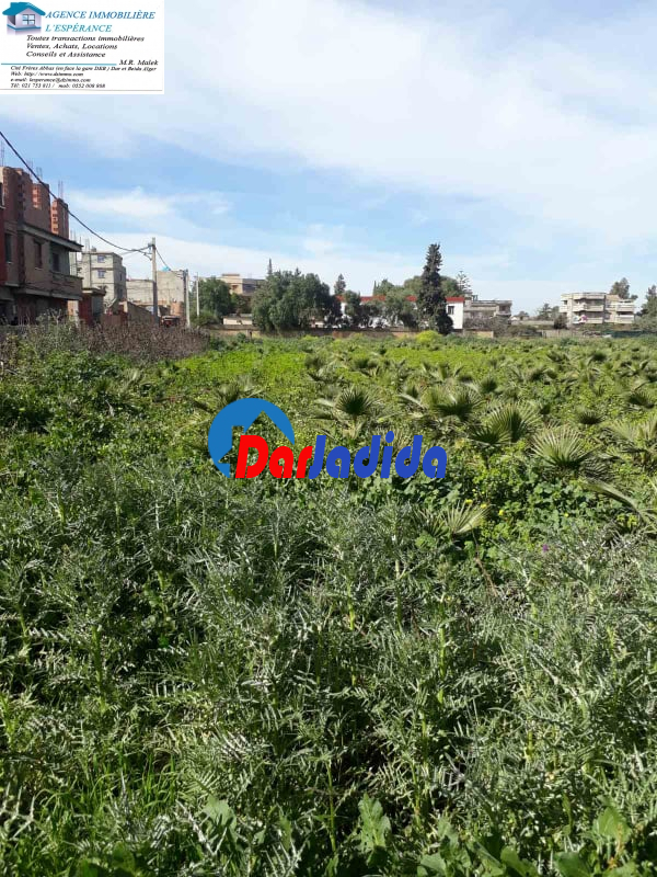 Vente Terrain  Boumerdes