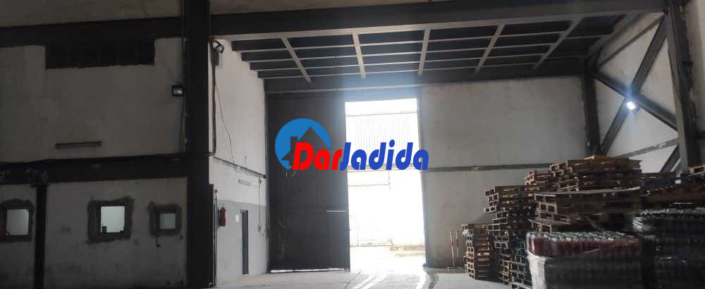 Vente Hangar  Annaba