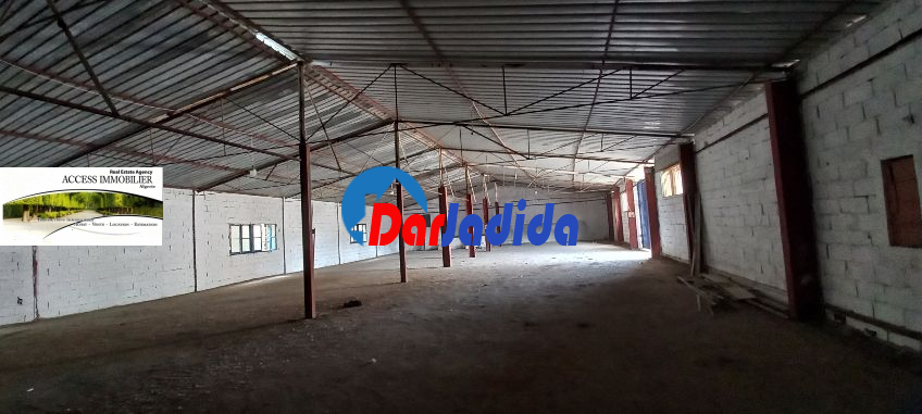 Location Hangar  Alger