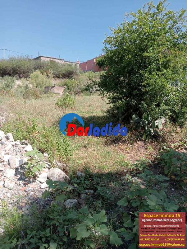 Vente Terrain  Tizi-ouzou