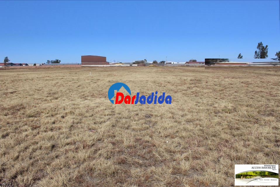 Vente Terrain  Alger