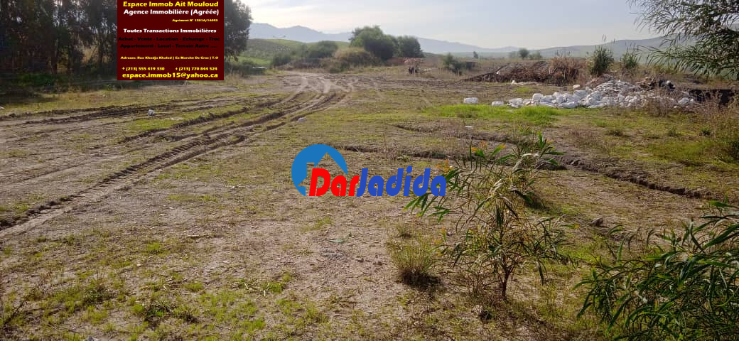 Vente Terrain  Tizi-ouzou
