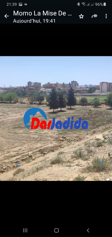 Vente Terrain F10 ou +  Sidi-belabbes