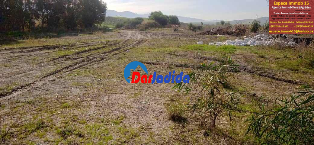 Vente Terrain  Tizi-ouzou