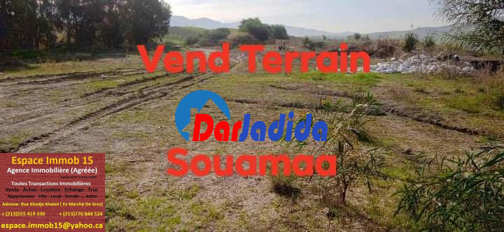 Vente Terrain  Tizi-ouzou