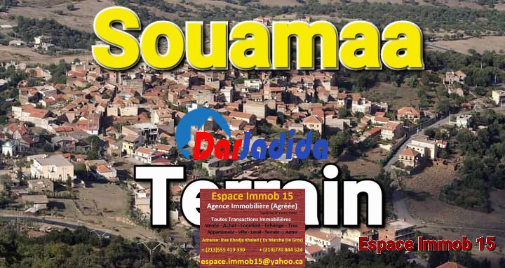 Location Terrain  Tizi-ouzou