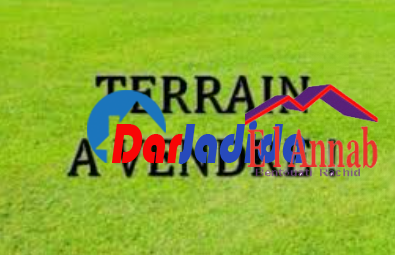 Vente Terrain  Annaba