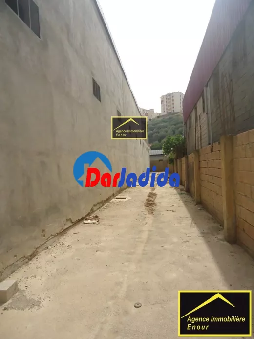 Location Hangar Bejaia