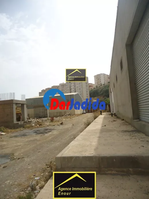 Location Hangar Bejaia