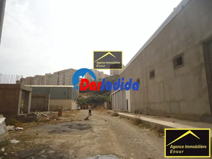 Location Hangar Bejaia