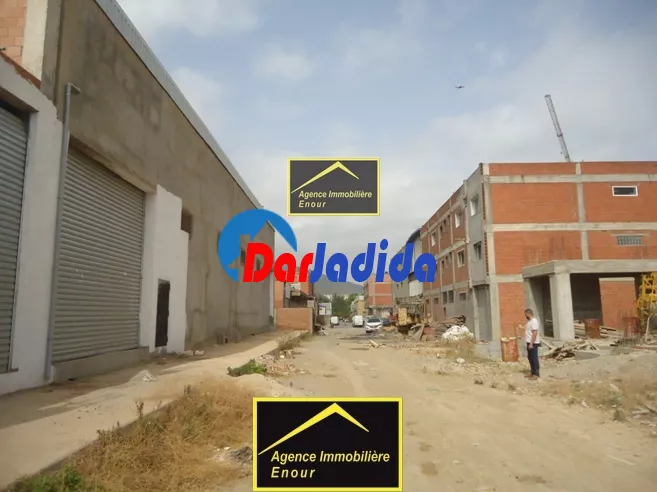 Location Hangar Bejaia