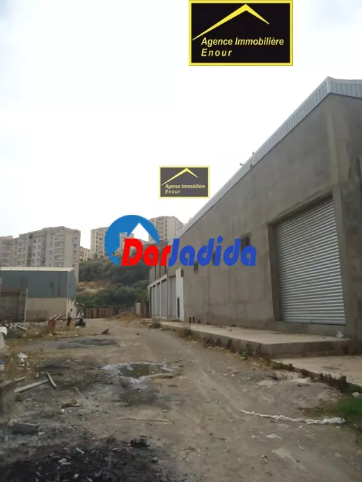 Location Hangar Bejaia