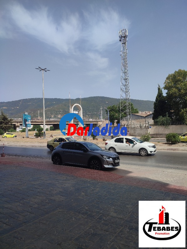 Location Local  Annaba