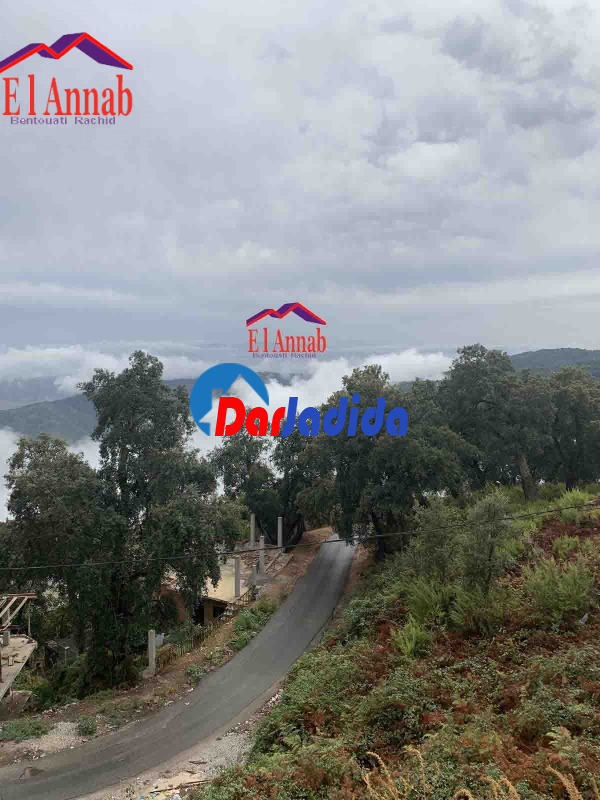 Location Appartement F3 Annaba