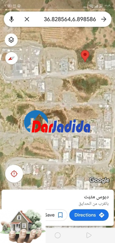 Vente Terrain  Skikda