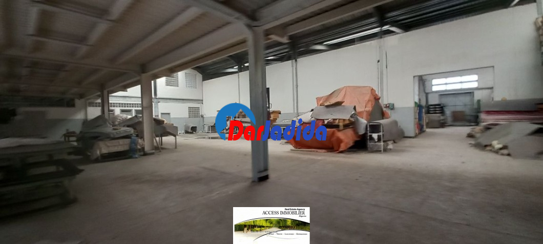 Location Hangar  Alger