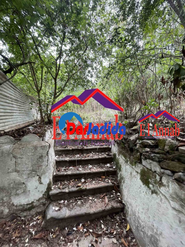 Location Villa  Annaba Location Villa  Annaba