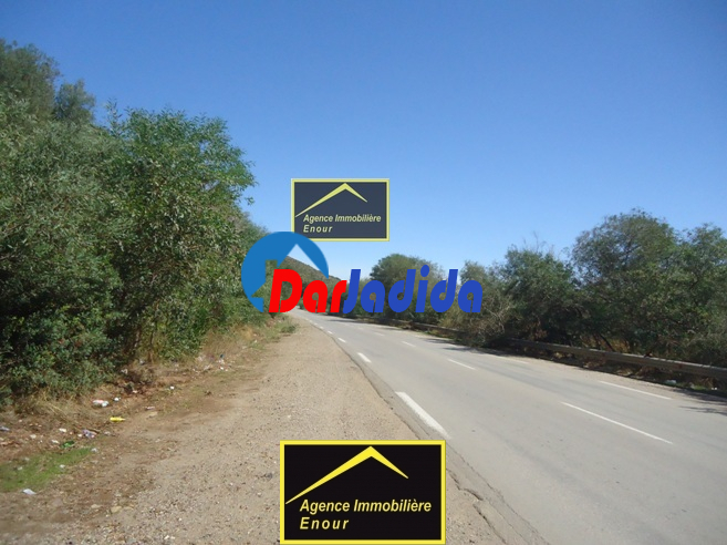 Vente Terrain  Bejaia