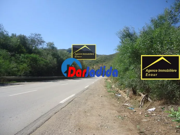 Vente Terrain Bejaia