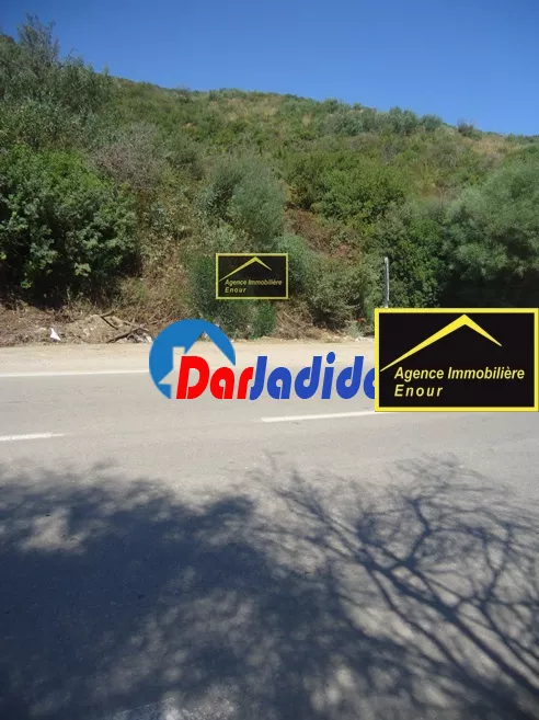 Vente Terrain Bejaia