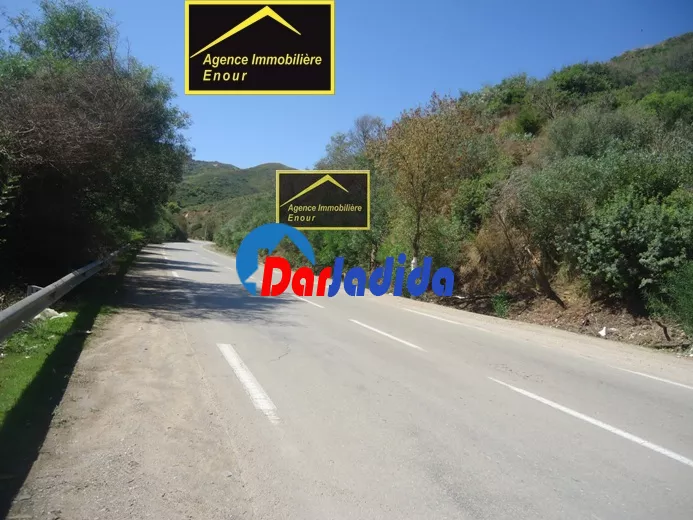 Vente Terrain Bejaia