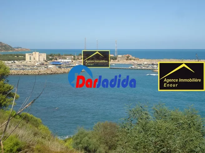 Vente Terrain Bejaia