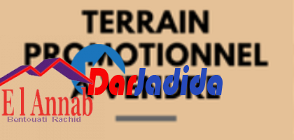 Vente Terrain  Annaba