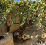 Vente Villa F7 El Tarf 