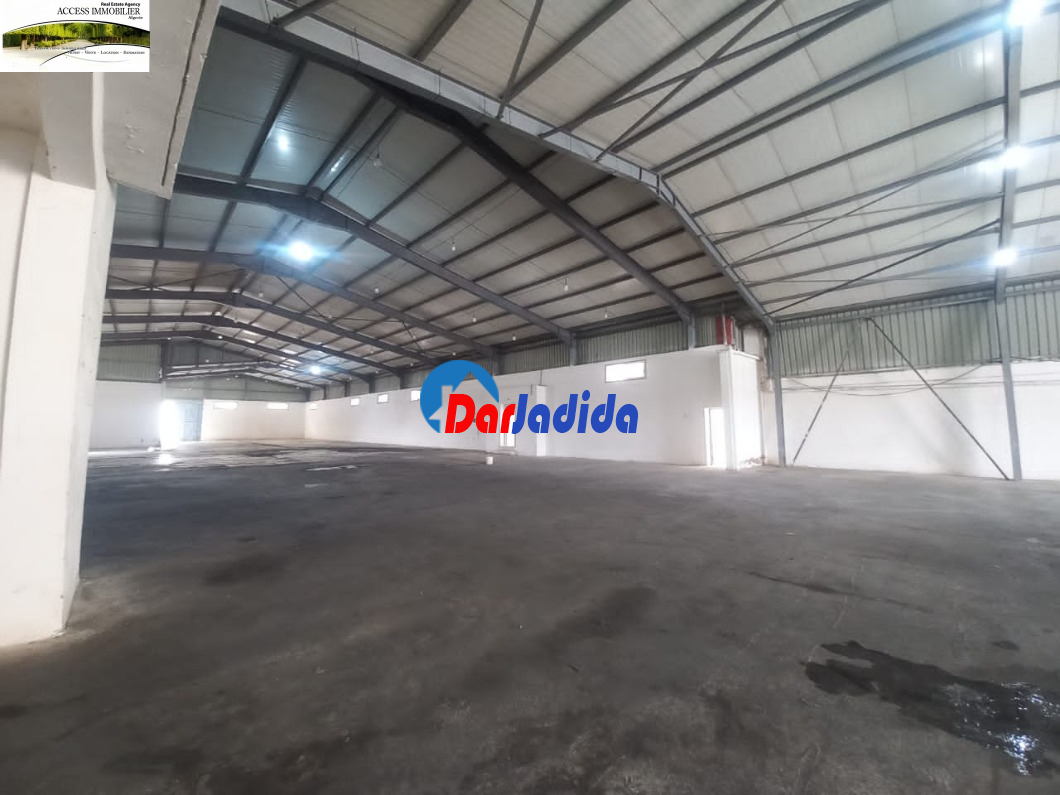 Location Hangar  Bouira Location Hangar  Bouira