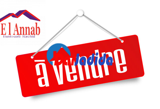 Vente Terrain  Annaba
