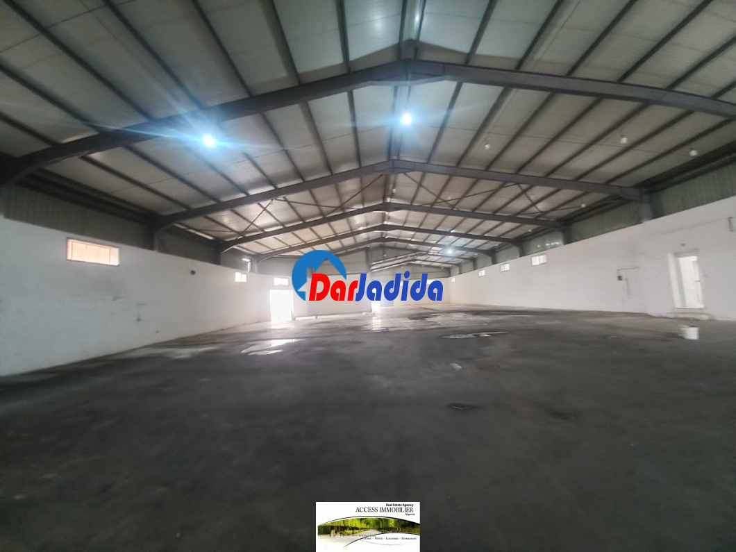 Location Hangar  Oran