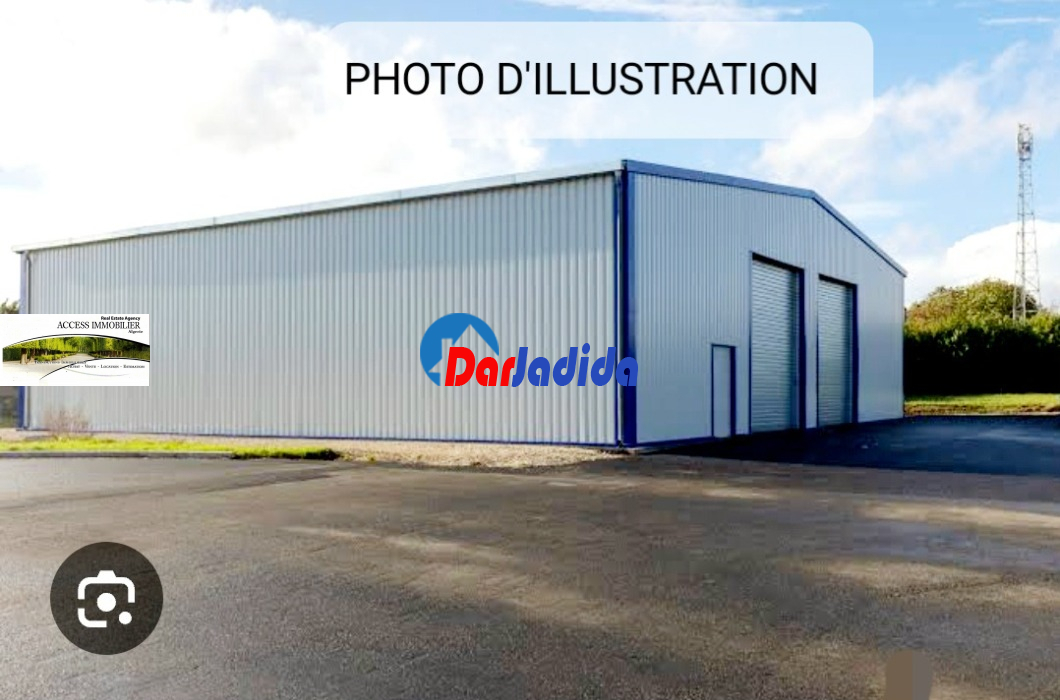 Location Hangar  Oran