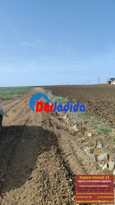 Vente Terrain  Tizi-ouzou