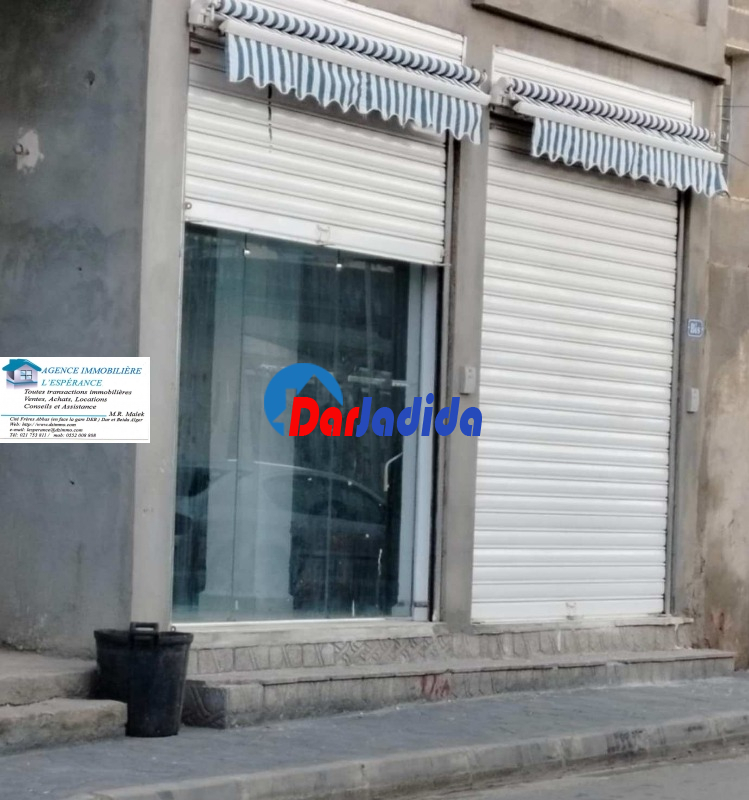 Location Local  Alger