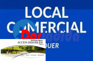 Location Local  Alger