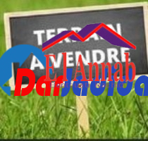 Vente Terrain  Skikda