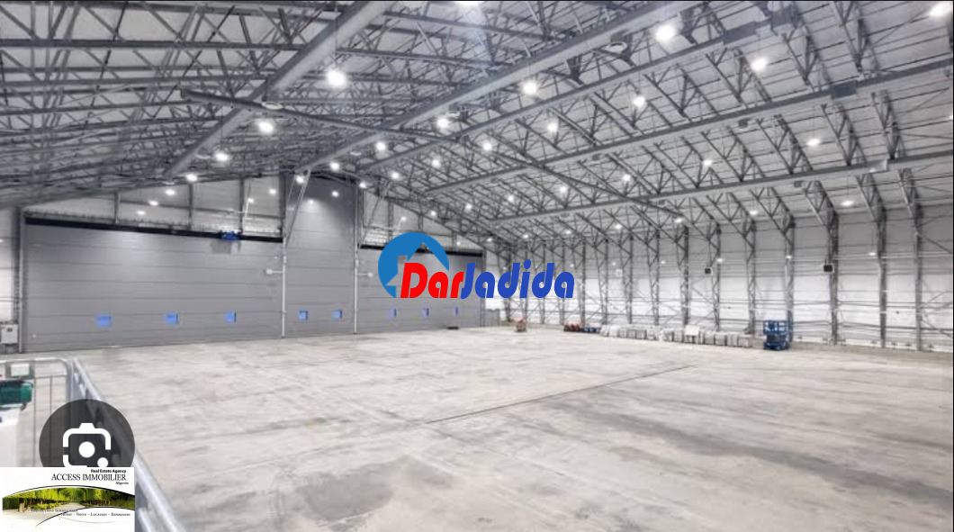 Vente Hangar  Alger