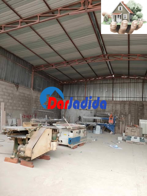 Location Hangar  Skikda