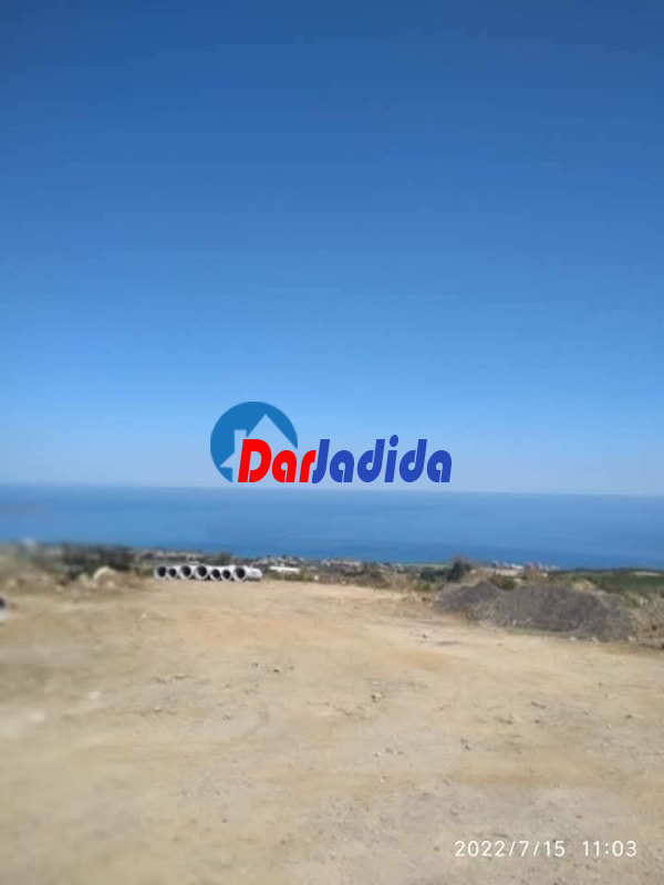 Vente Terrain  Boumerdes