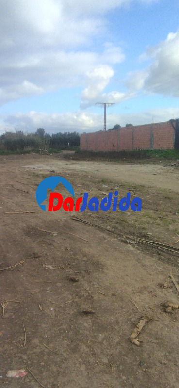 Vente Terrain  Blida