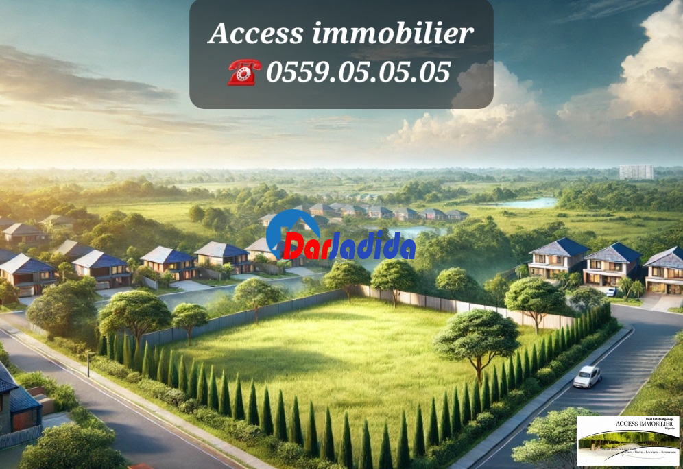 Vente Terrain  Alger