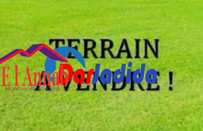 Vente Terrain  El-tarf