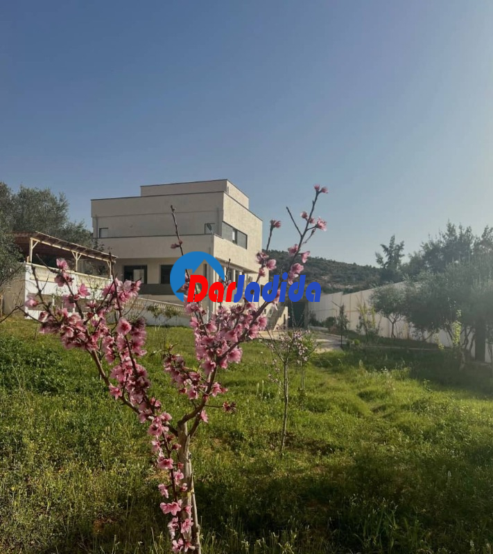 Vente Villa F7 Mostaganem